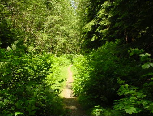 hikescene2