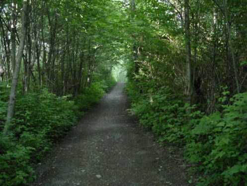 hikescene5