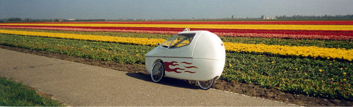 carbike-tulips