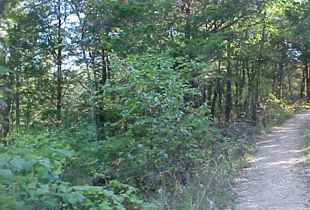 velomobile trail